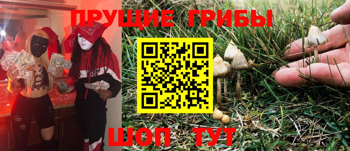 Кузнецк  Псилоцибиновые грибы мицелий  Вход с VPN 